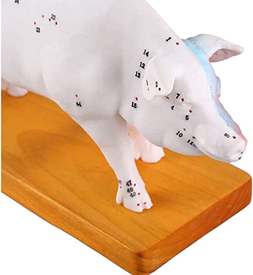 蝶標本 オオムラサキ 60頭。大型ドイツ標本箱二箱入りセット <0729z蝶